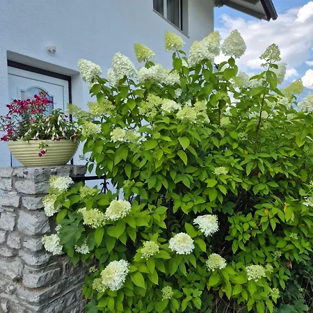 Haus Beutle Appartement *